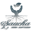 Saucha Mercado Natural