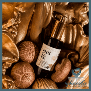 TINTURA MADRE DE SHIITAKE - DOBLE EXTRACTO