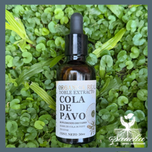 Tintura Madre Cola de Pavo