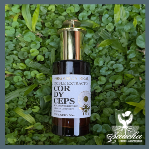 Tintura Madre de Cordyceps